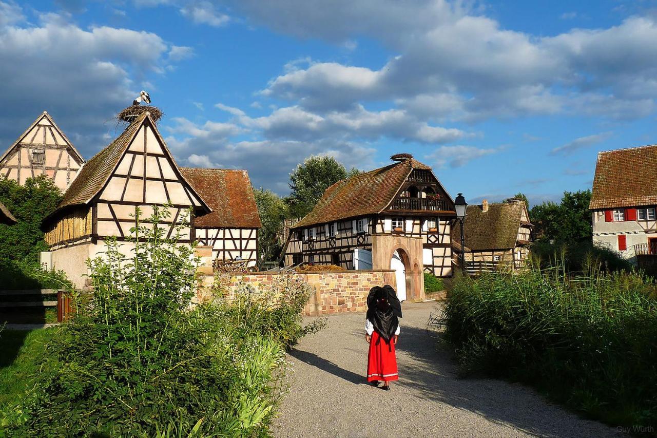 Апартаменты Chez Christian Breitenbach-Haut-Rhin Экстерьер фото